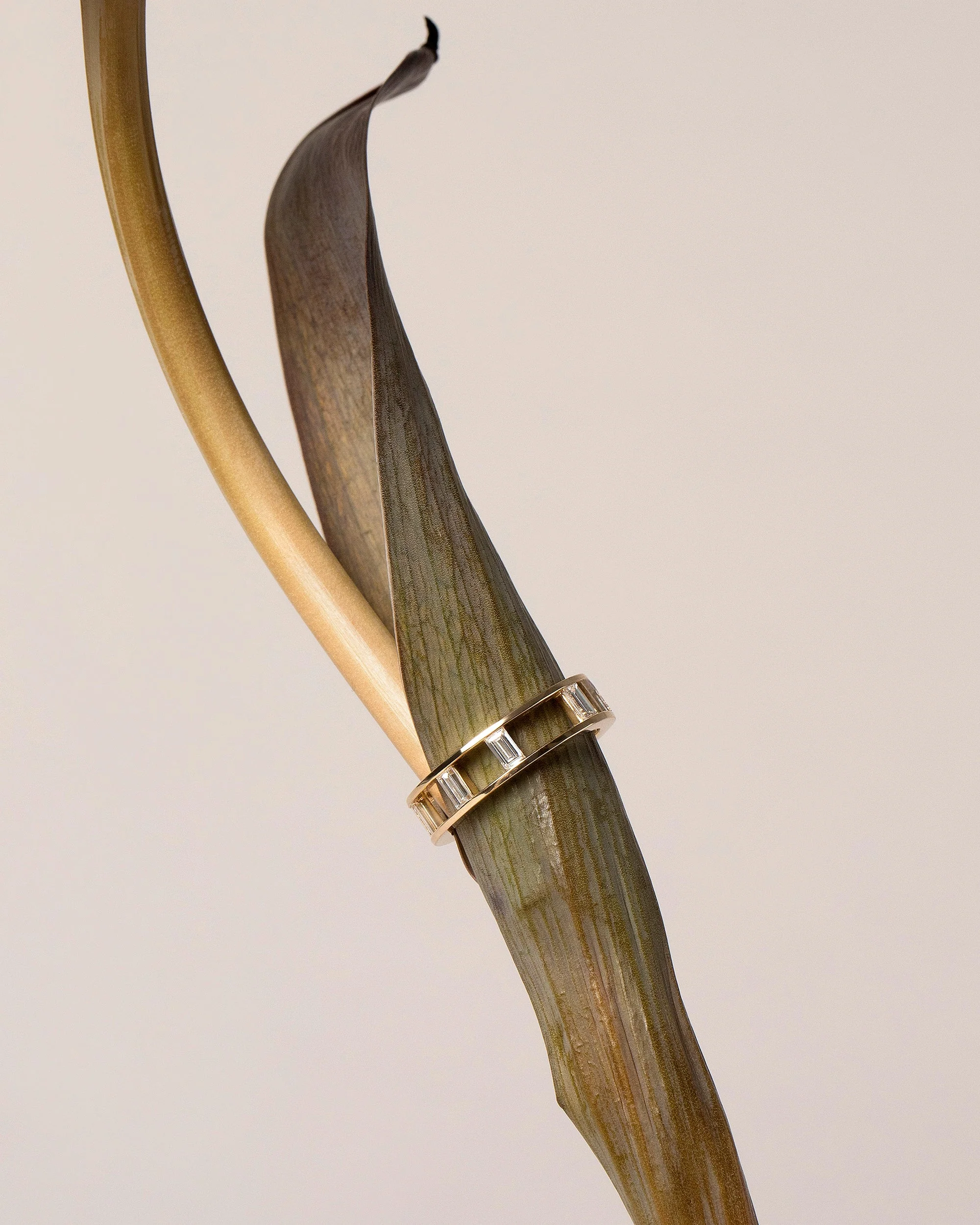 Baguette Cage Band - Image 4