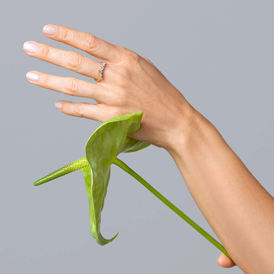 Bound Band - Image 5
