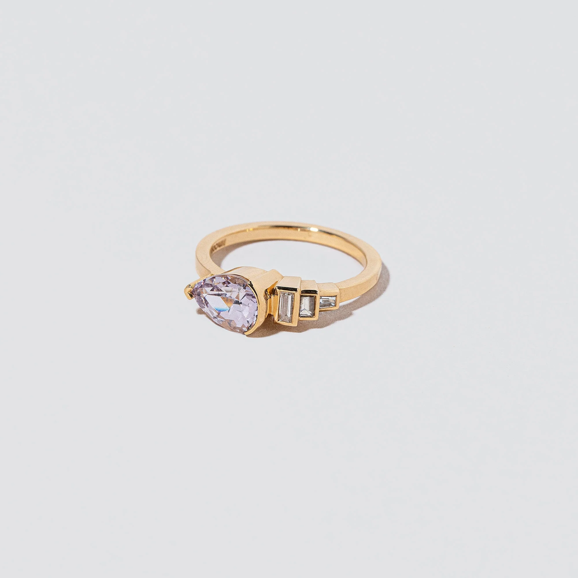 Fixation Ring - Image 3