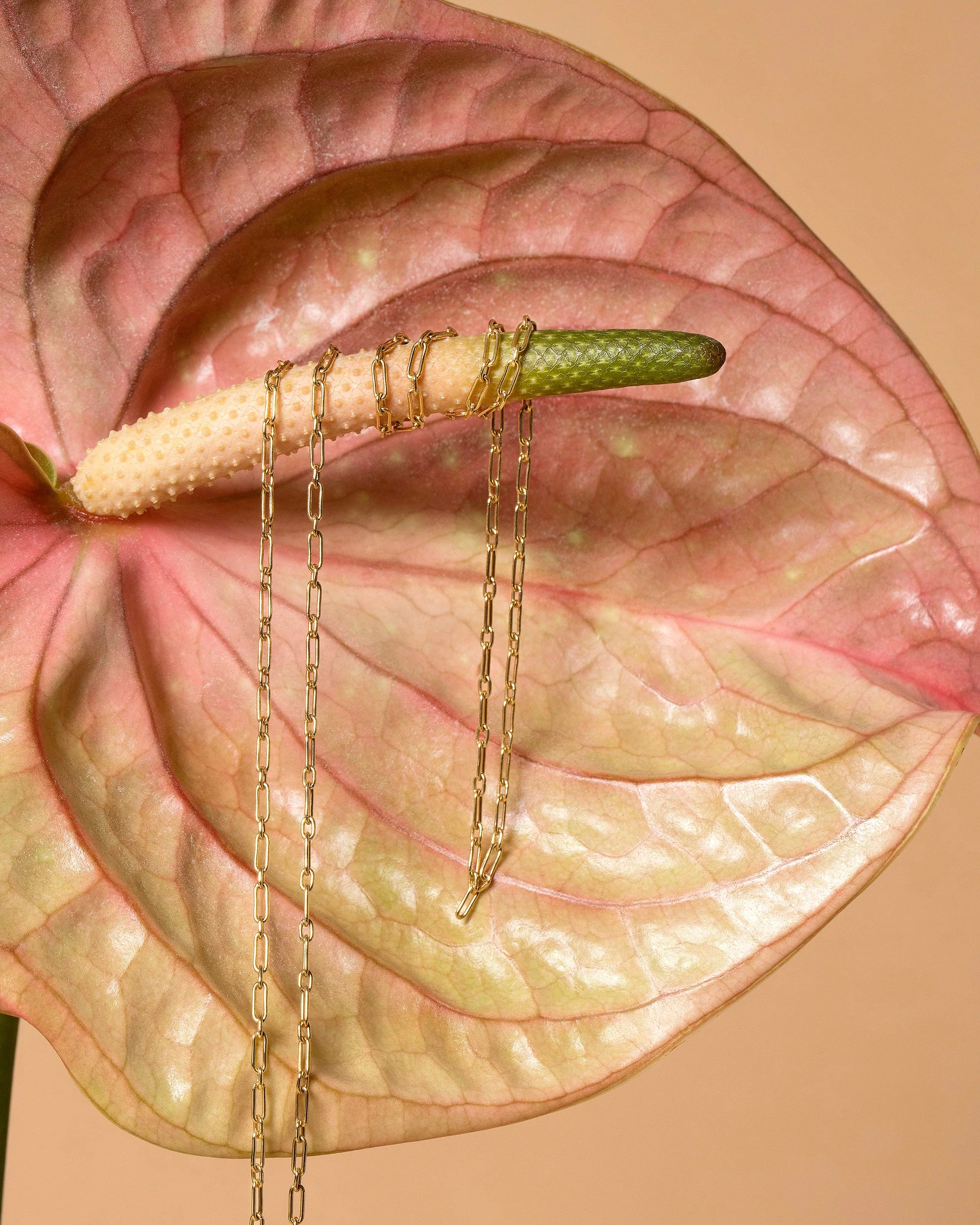 Hot Dog Chain Necklace - Image 4