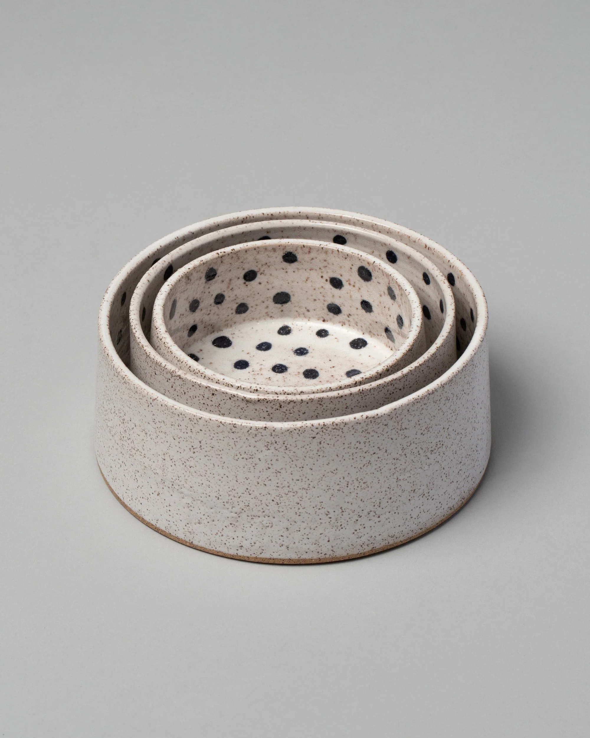 Dog Bowl