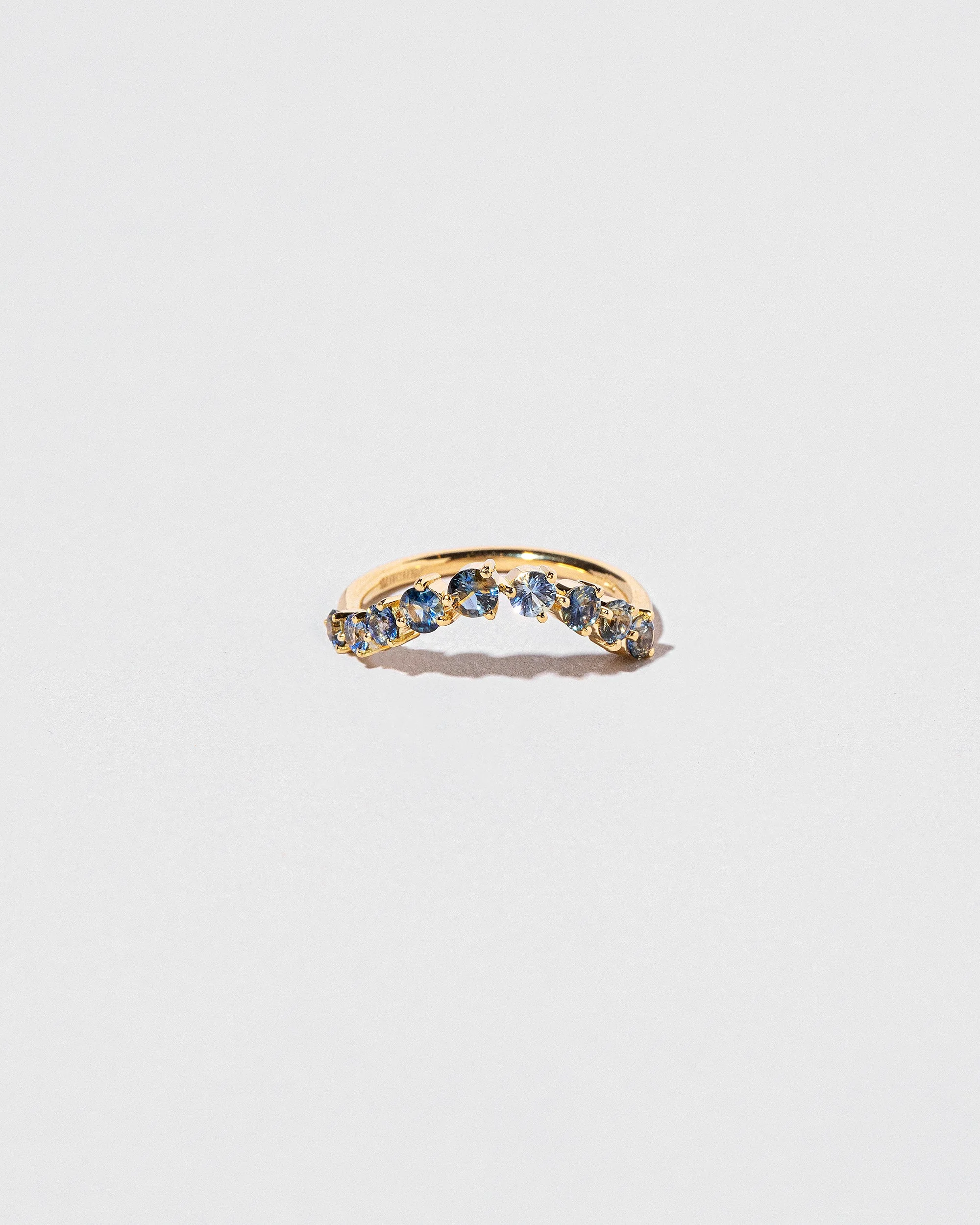 Swell Band - Image 6