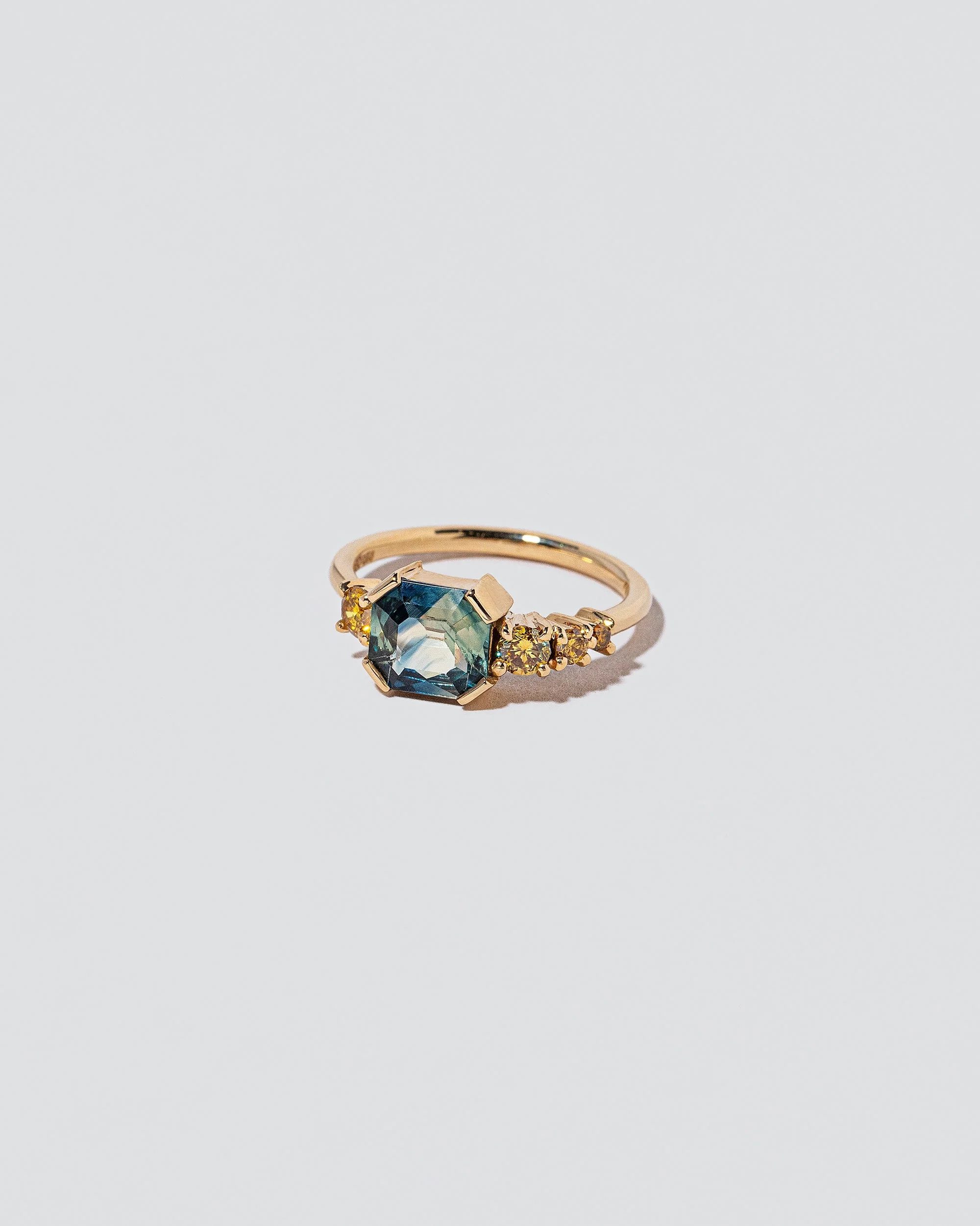 Vitrification Ring - Image 2